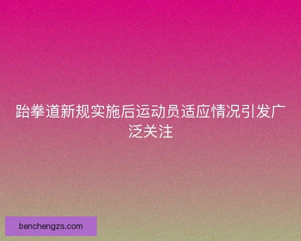 跆拳道新规实施后运动员适应情况引发广泛关注 跆拳道新规实施后运动员适应情况引发广泛关注